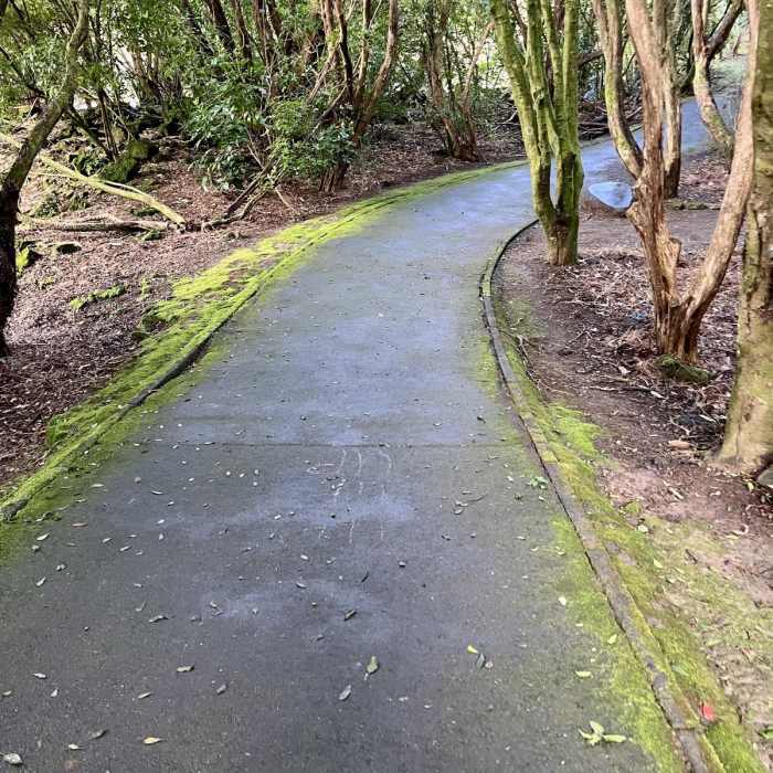 Near Western Springs Lakeside Loop Near Western Springs Lakeside Loop