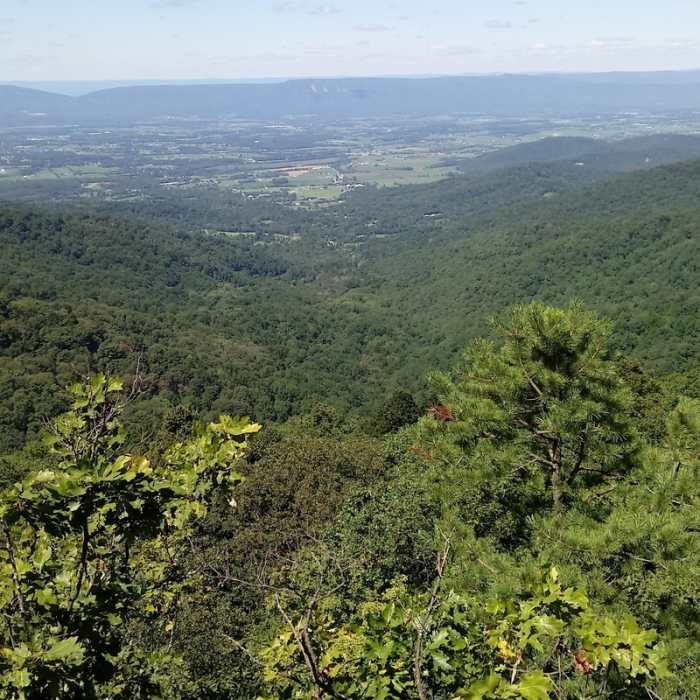 View of valley containing Redgate Fire Road (from AT overlook). Near Red Gate Road