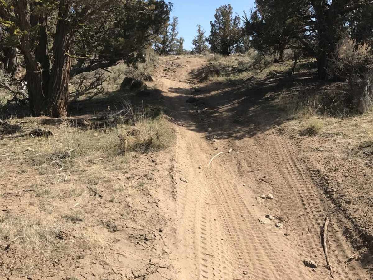 Millican Plateau Trail 84 photo 6