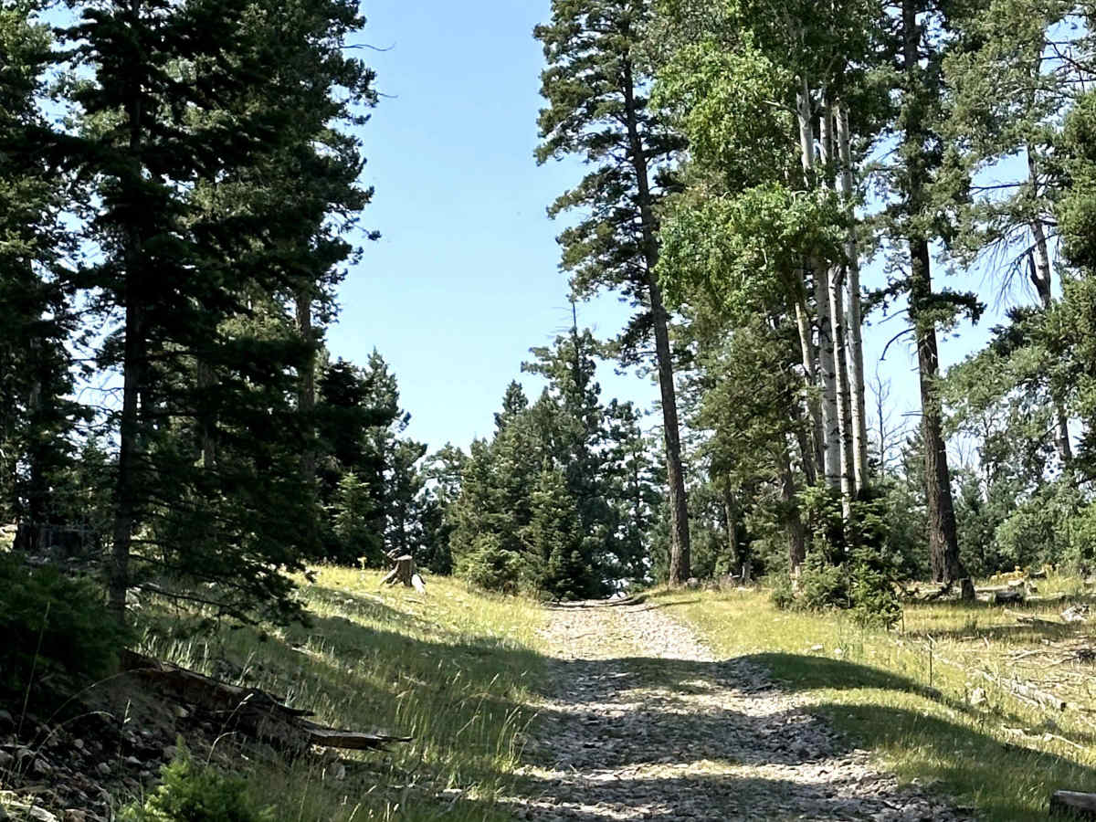 Alamo Canyon photo 3