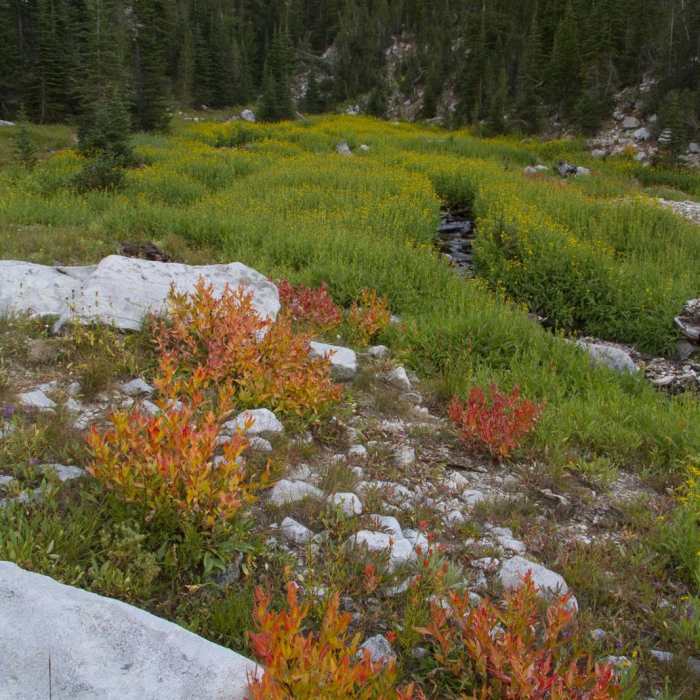 Near Little Queens River + Scenic Lake