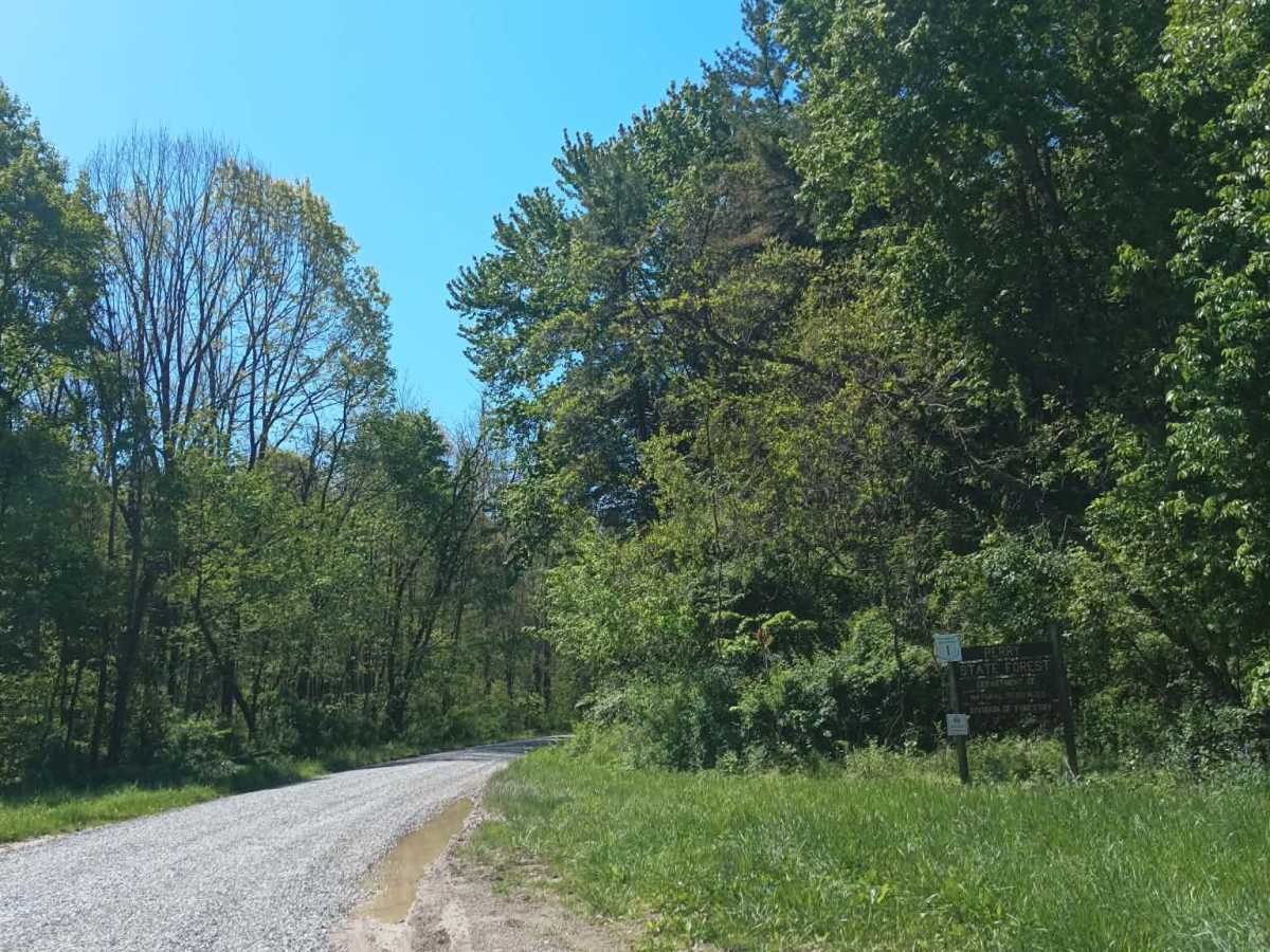 Township Highway NR1  photo 6