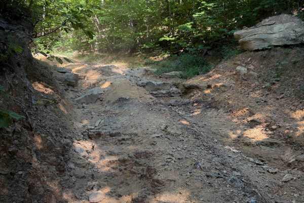 Rocky Branch Trail 23