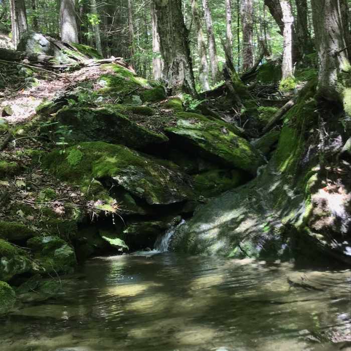 Near Daniels Mountain Trail