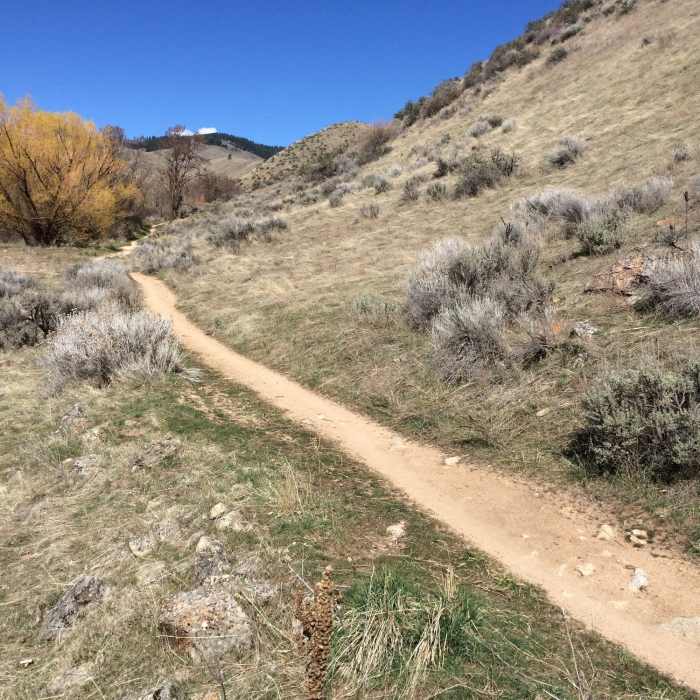 Near Five Mile Gulch