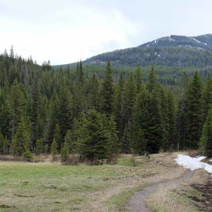 Near History Rock Near History Rock