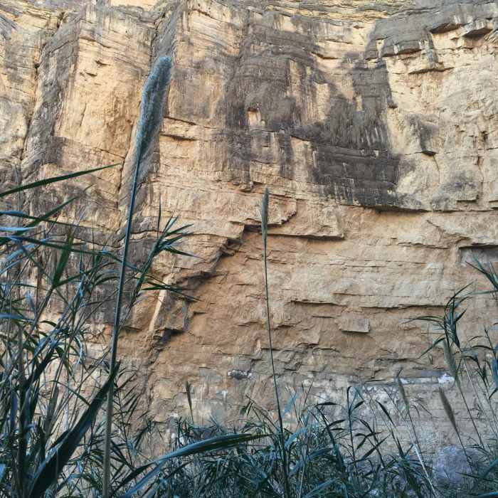 Near Santa Elena Canyon