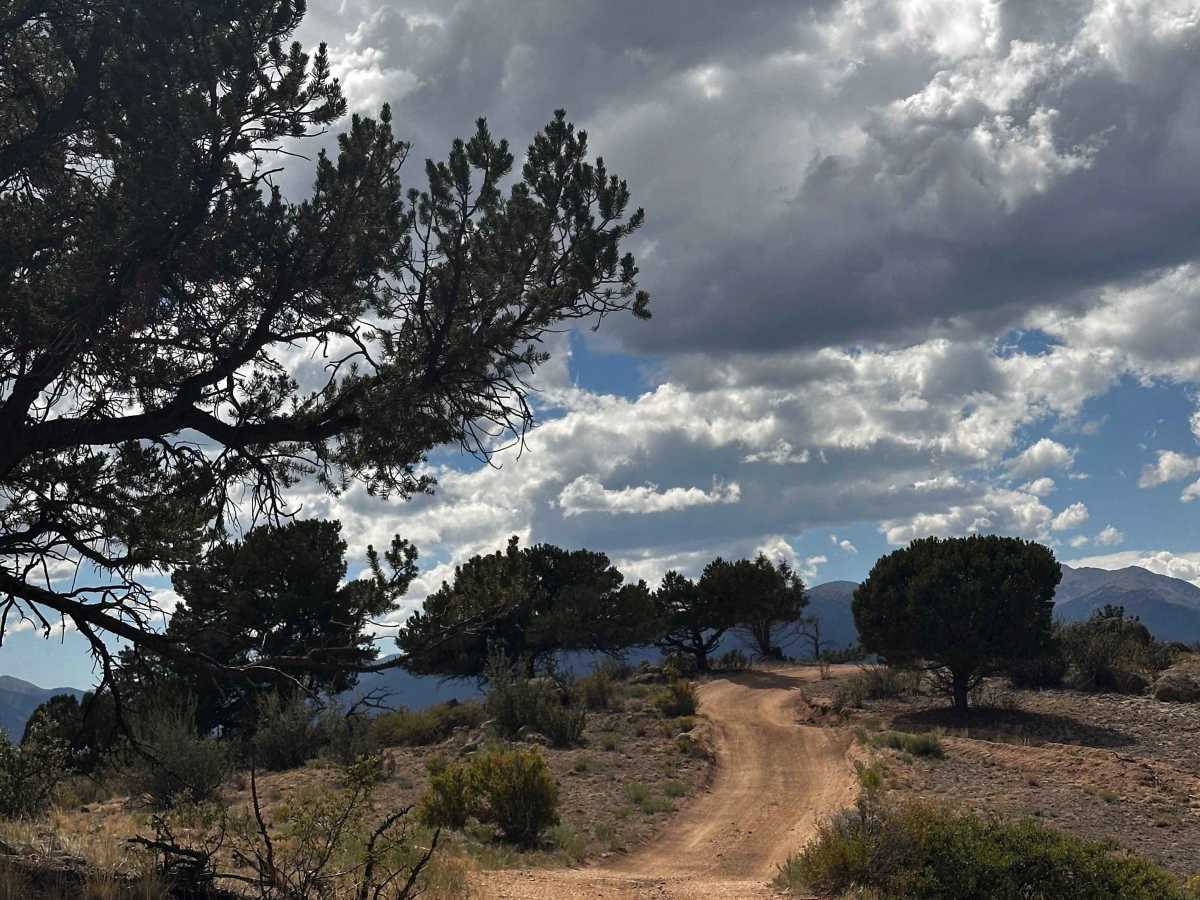 FS 376B trail photo