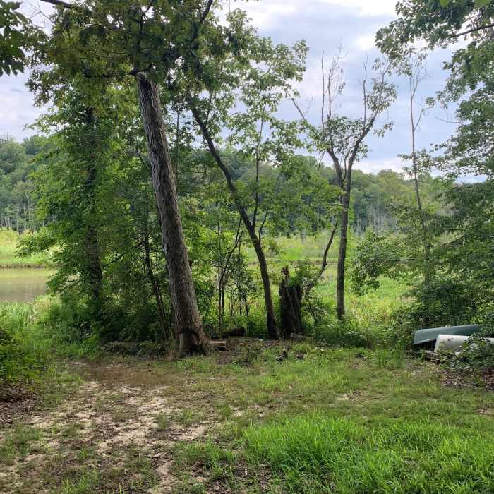 Overlooking Parkers Creek Near Parkers Creek Loop