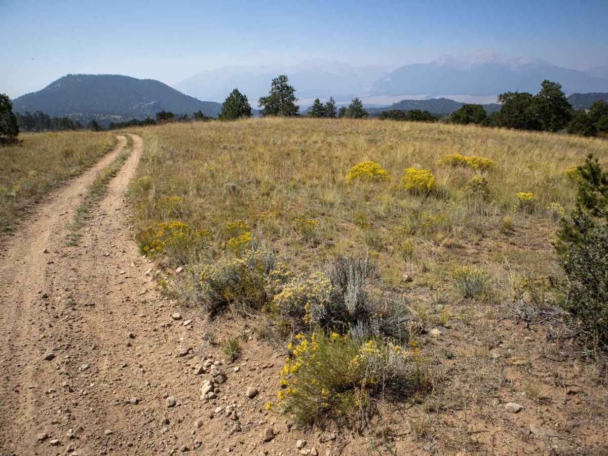 Triad Ridge East (ATV) photo 4