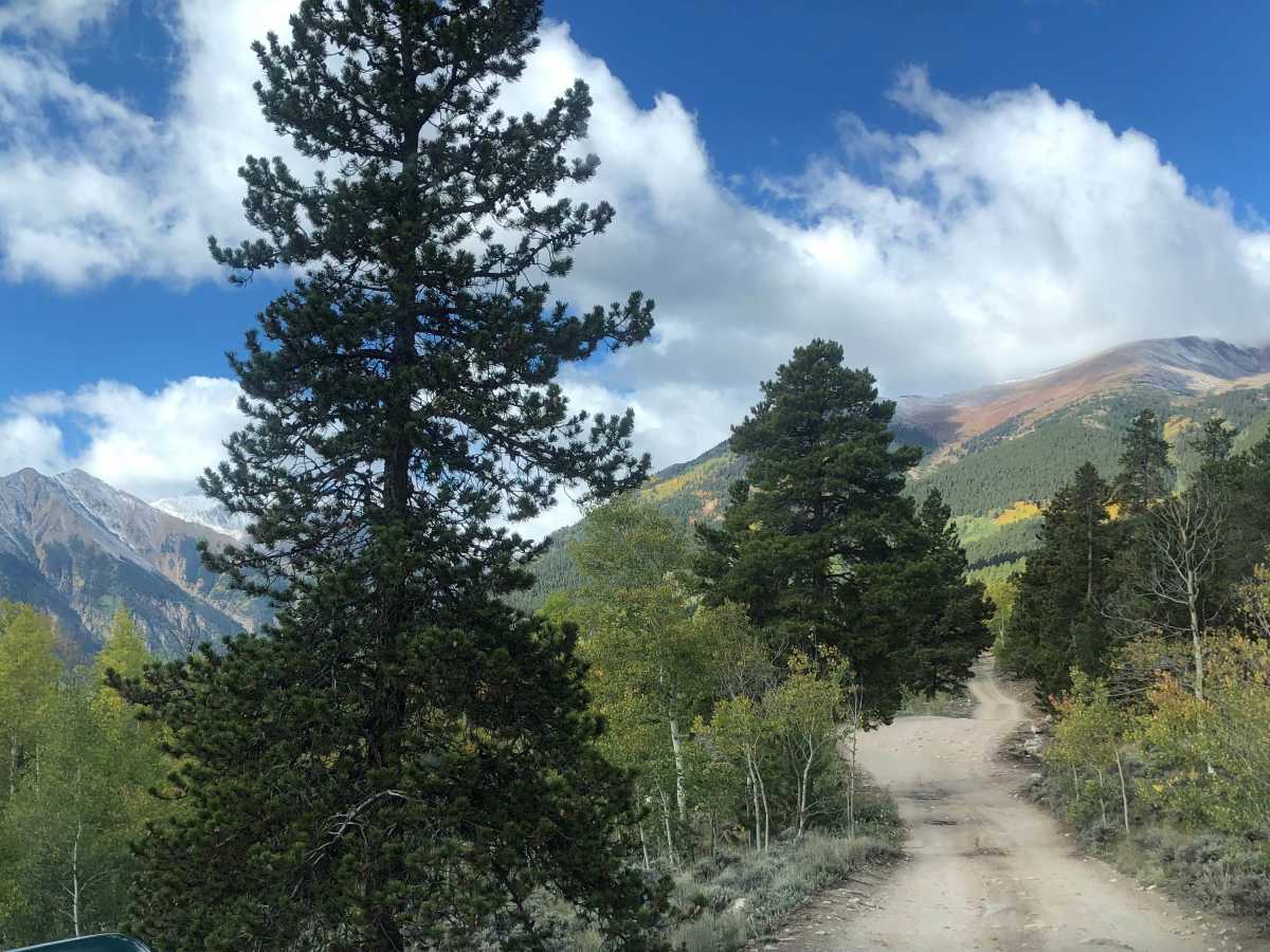 Mount Elbert East Ridge photo 2