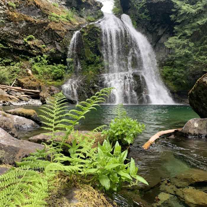 Near North Siouxon Creek Trail