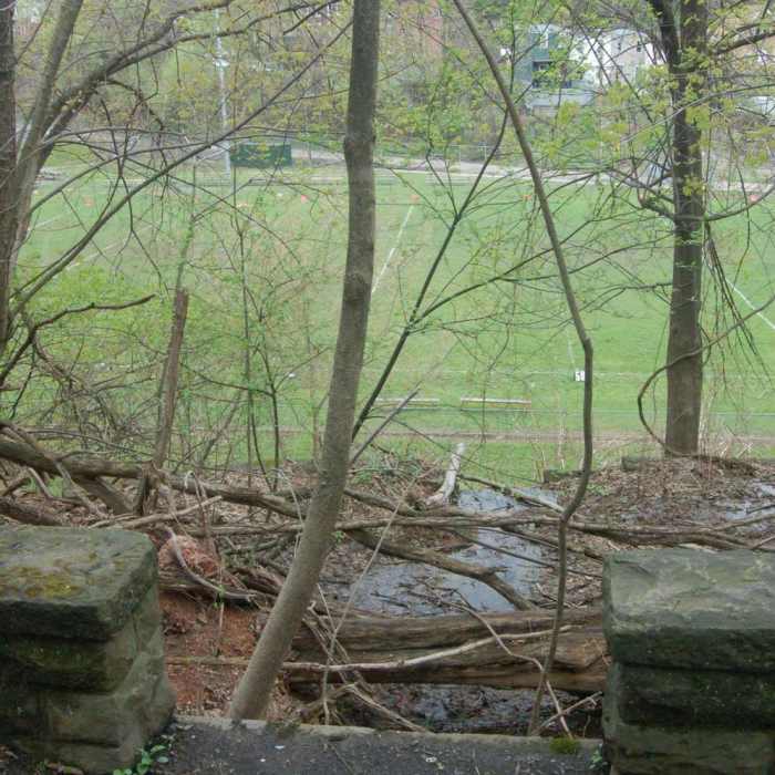 Near Ol Renziehausen