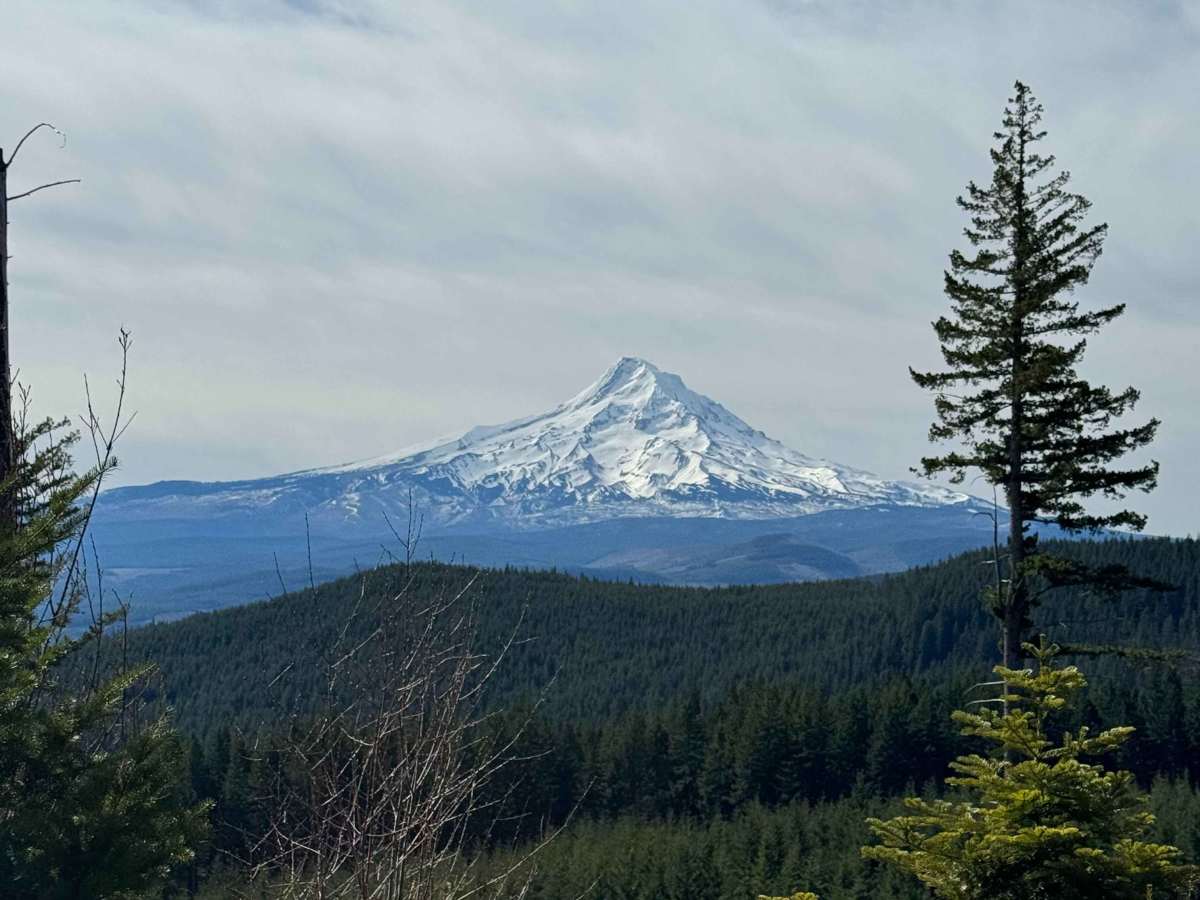 Larch Mountain Road trail photo