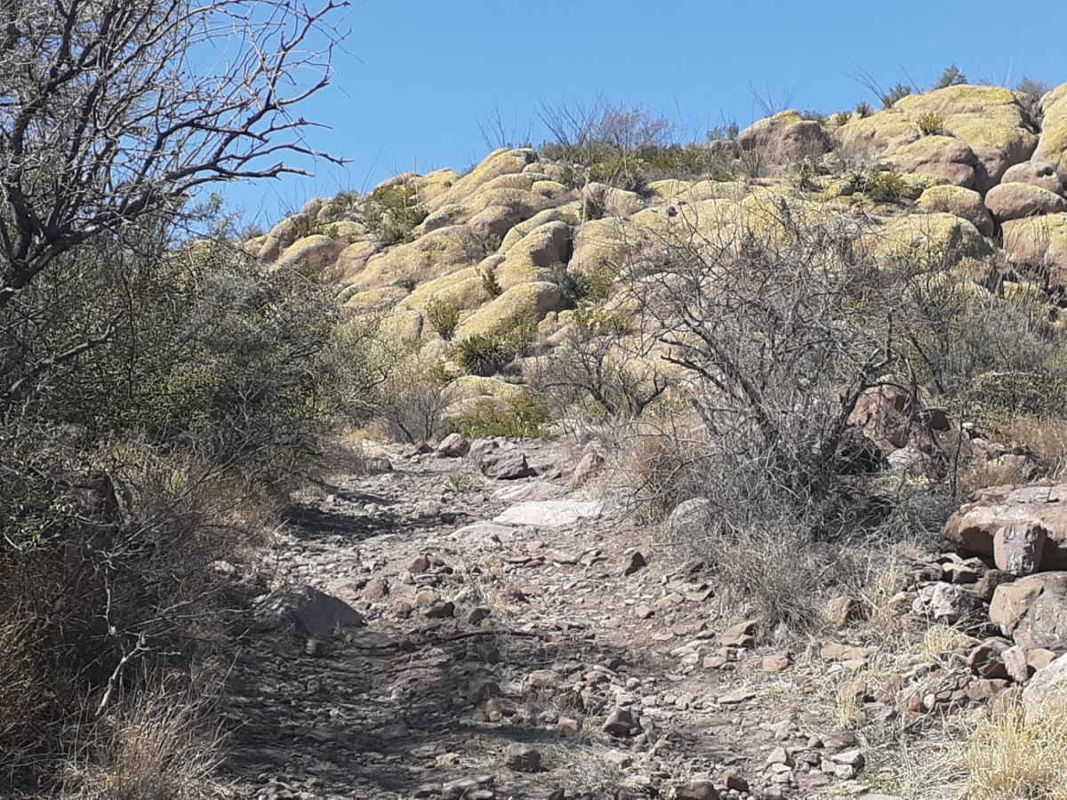 Horseshoe tank trail photo 4