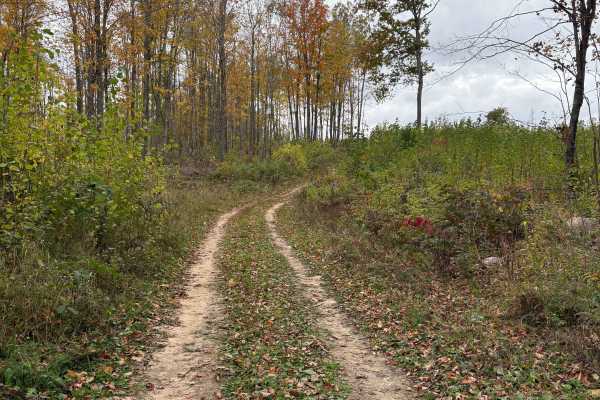 Hemlock North/South