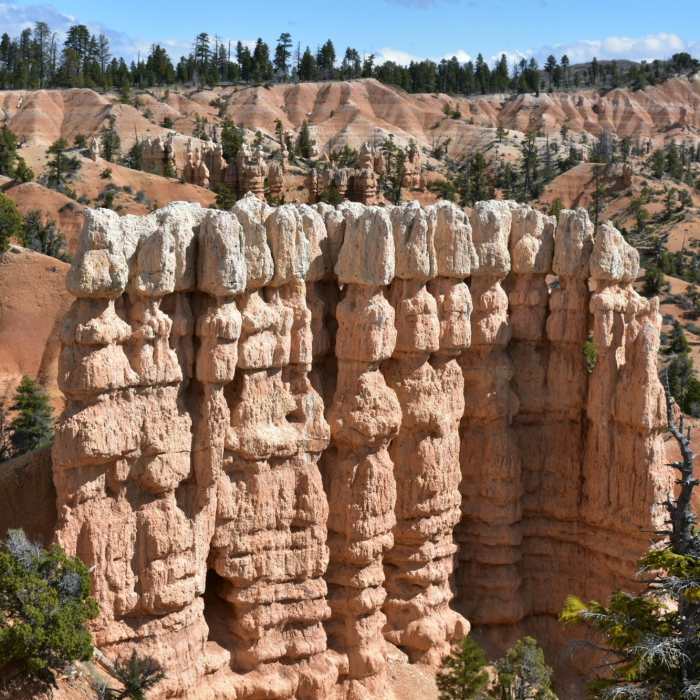 Near Swamp Canyon Connecting Trail