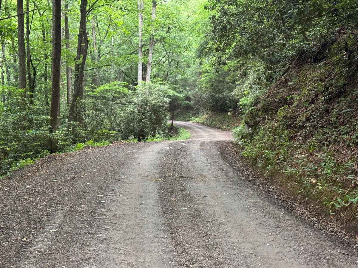 Evans Creek - FS 4621 photo 4