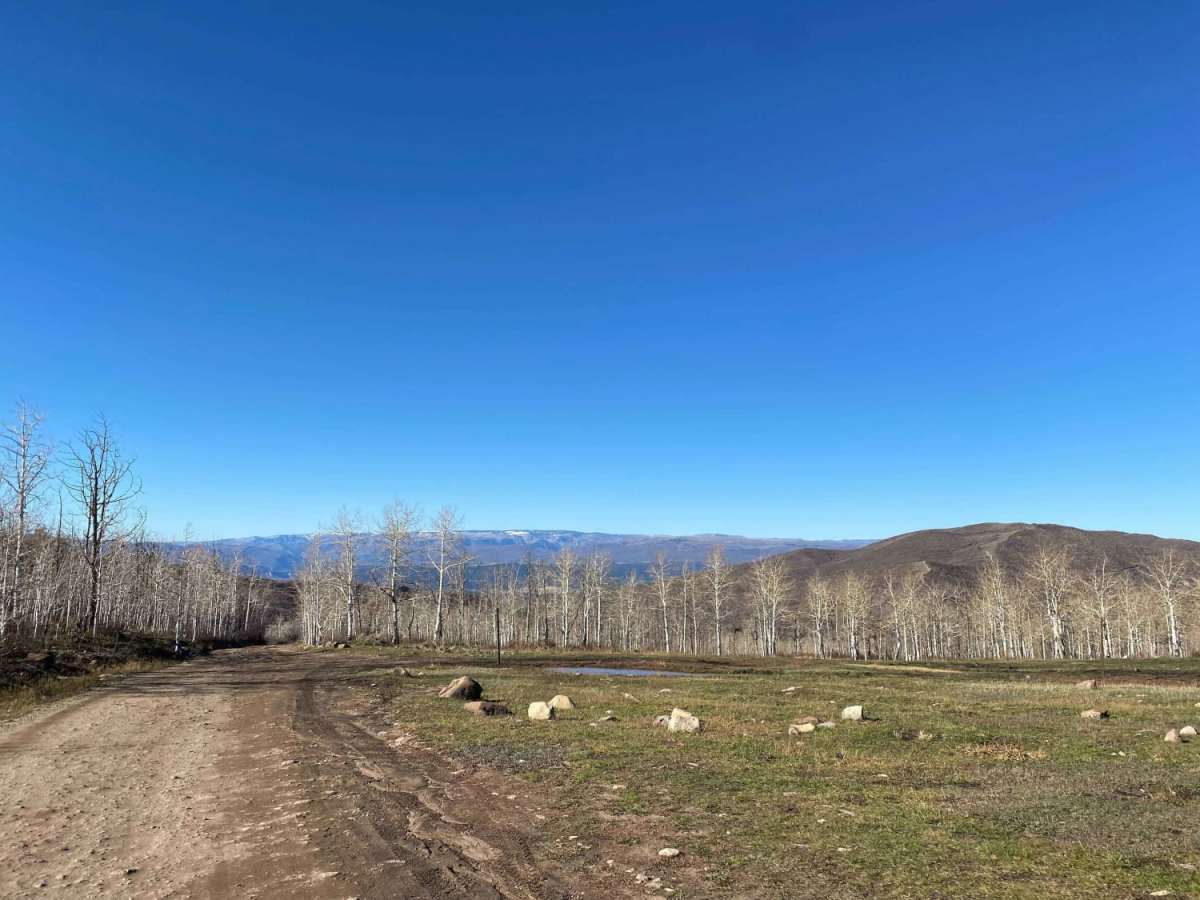 Dinkle Lake Road photo 3