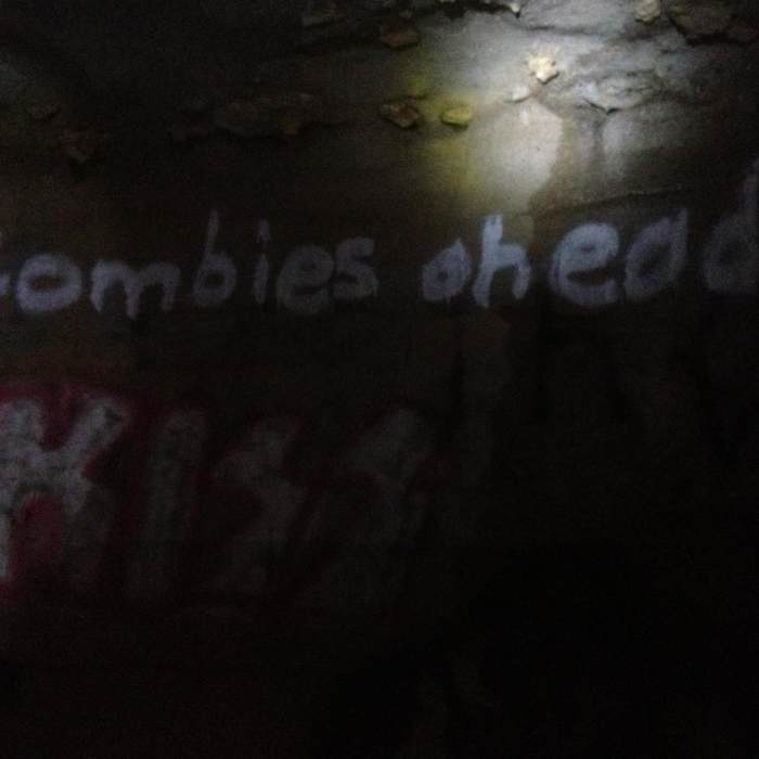 Graffiti inside of Rock House Cave Near Wheeler Wildlife Refuge: Buckeye/Goose Pond