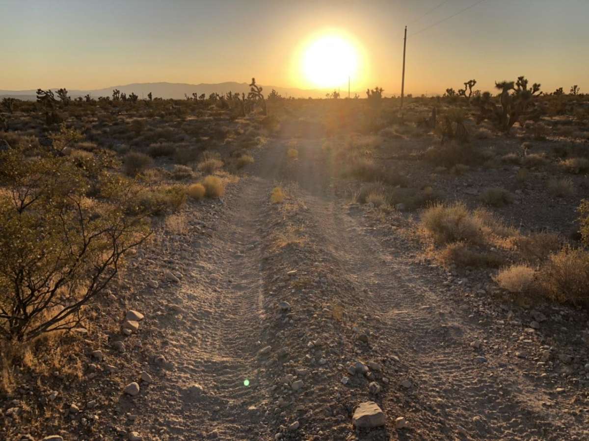 Potosi Pass Road trail photo