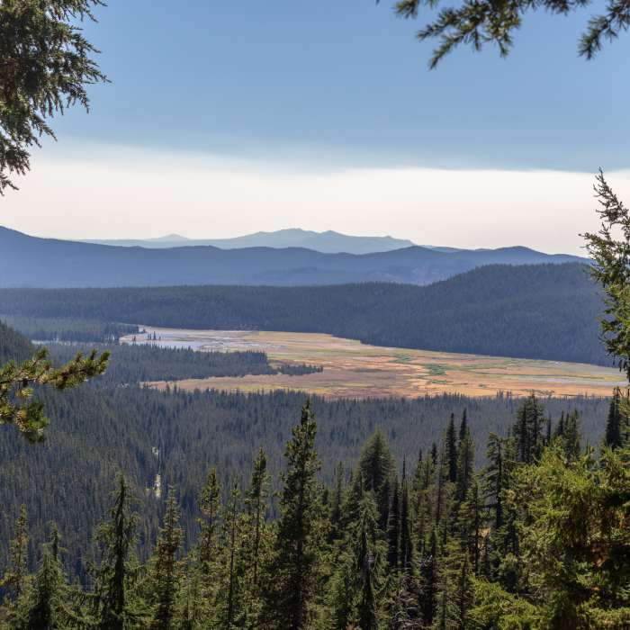 Near Soda Creek Trail #11