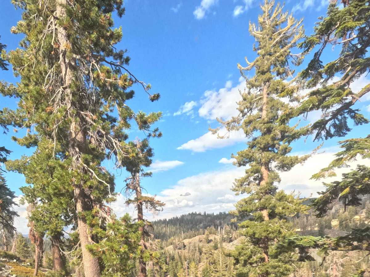 Iron Lakes Trail - FS 22E204 photo 6