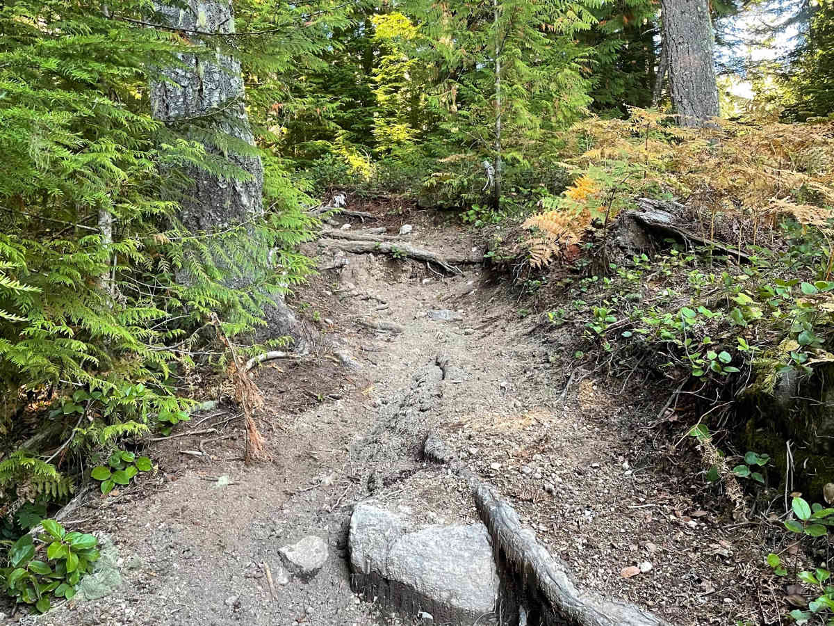 Skidder Skip trail photo