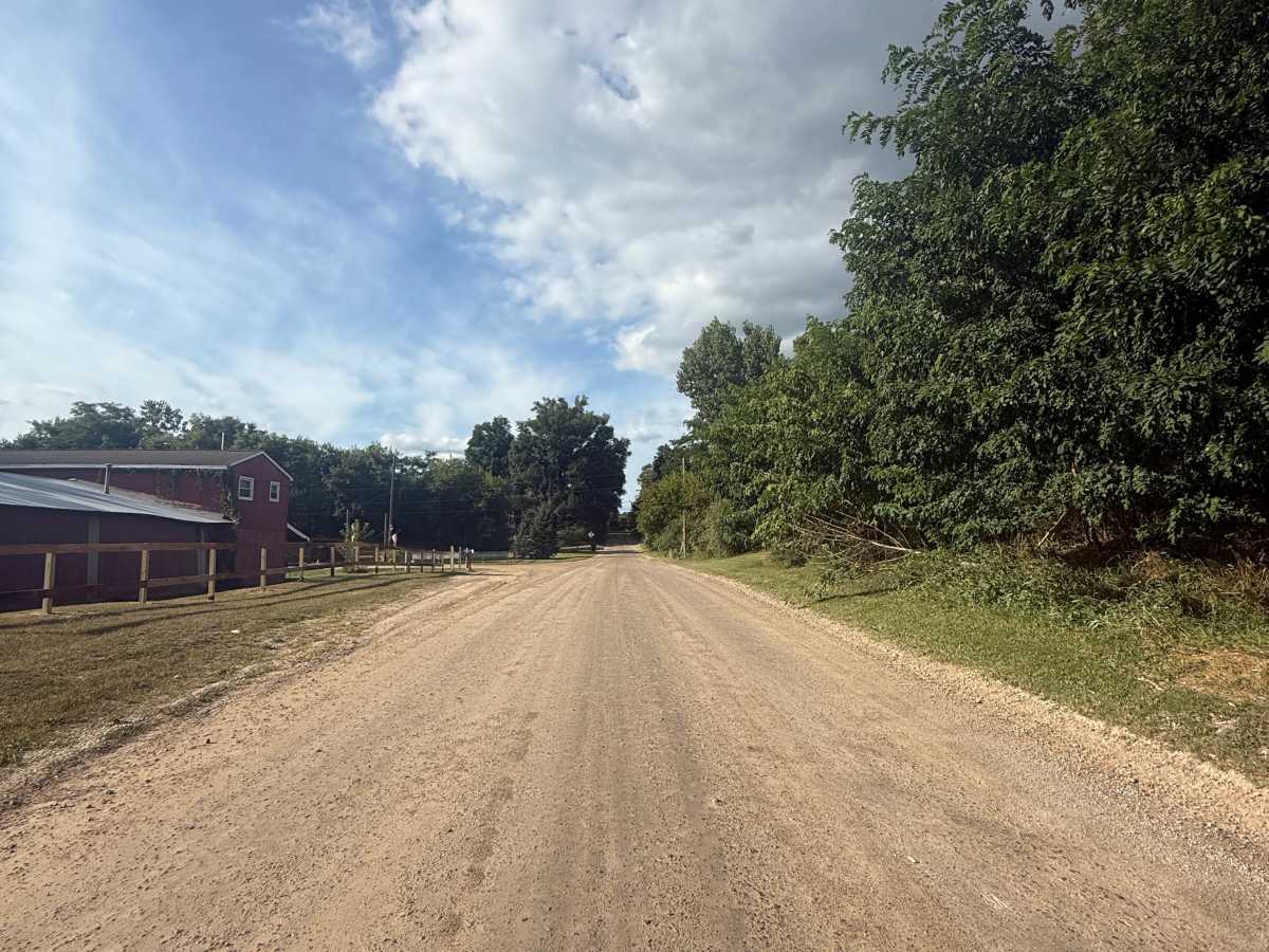 Cedar Lake Trail photo 3