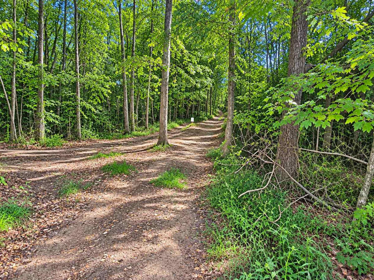 Shoals Lane photo 4