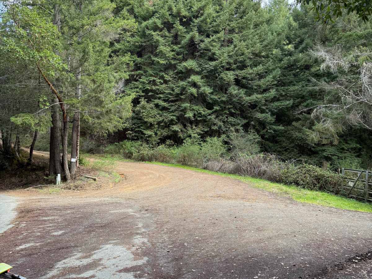 Low Gap Road photo 6