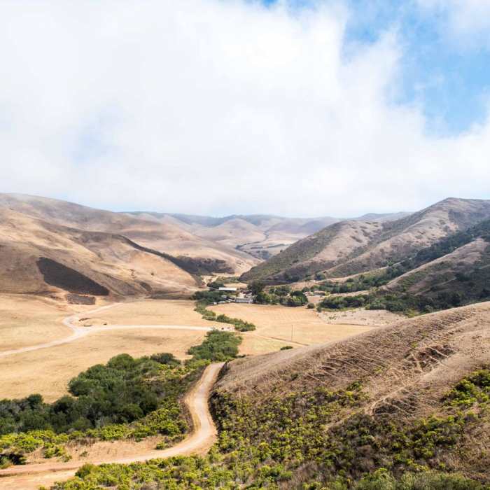 Near Point Sal Trail Near Point Sal Trail