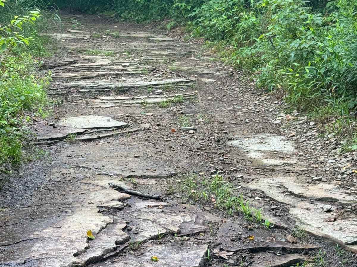 Trail 66 photo 6