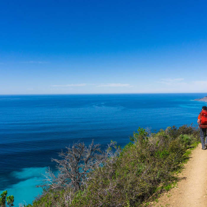 Near Vicente Flat Trail