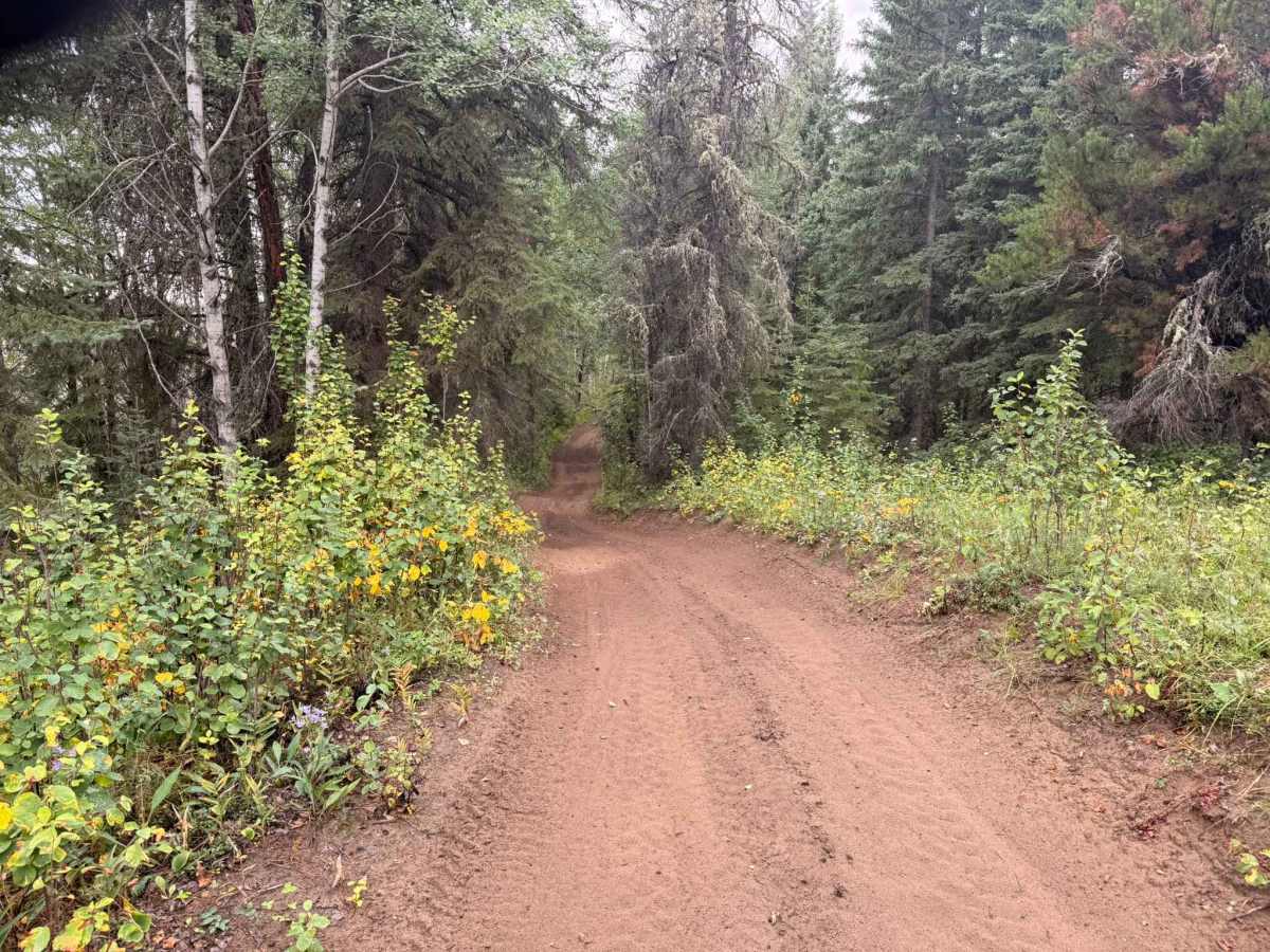 Aspen Loop Extended photo 3