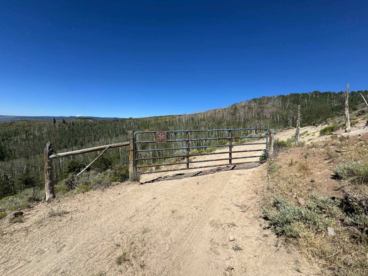 BLM 8454 photo 2