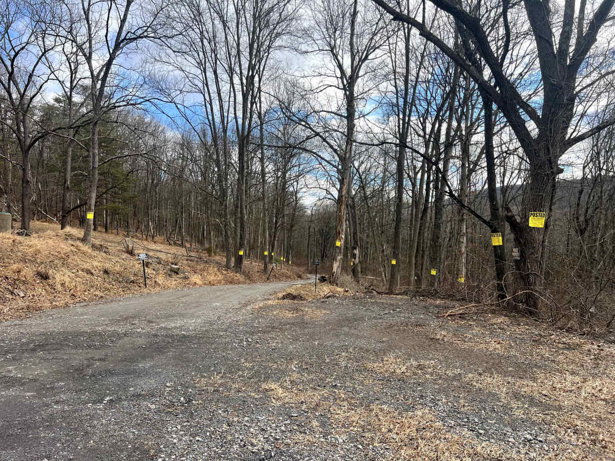 Bear Creek Road photo 3