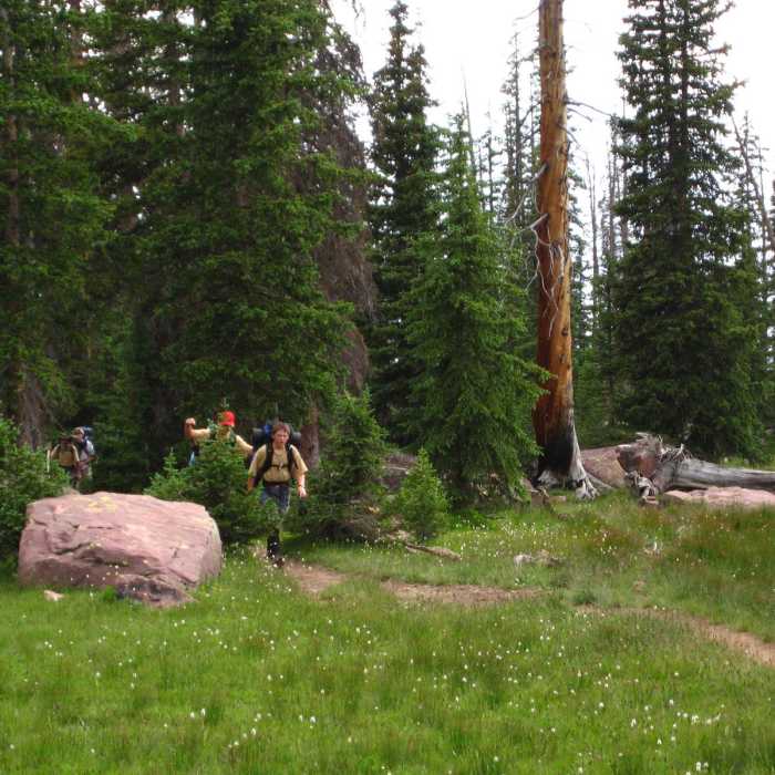 Near Four Lakes Basin Near Four Lakes Basin