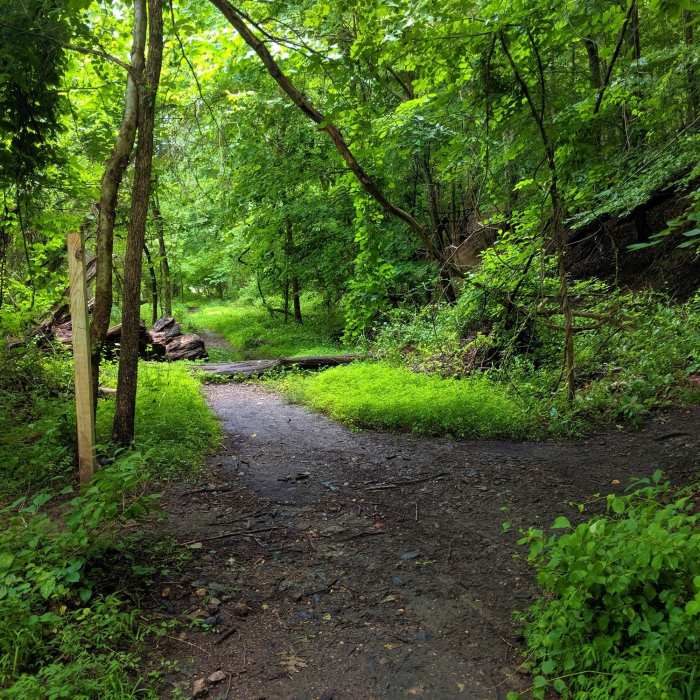 Near Buzzards Rock Trail