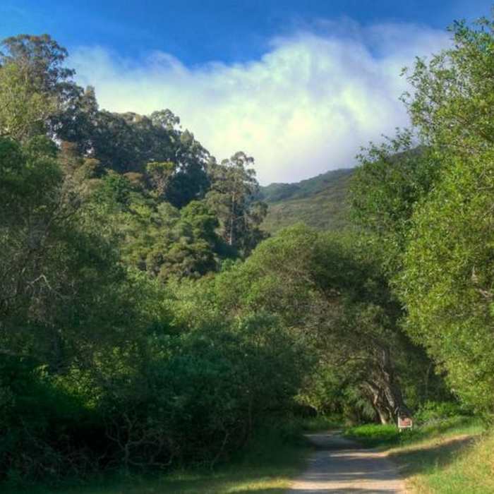 Near Montara Mountain Trail