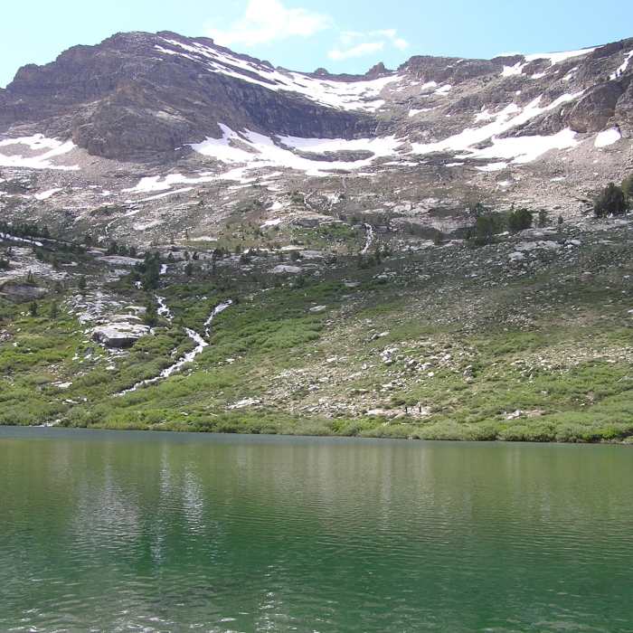Near Island Lake #17111