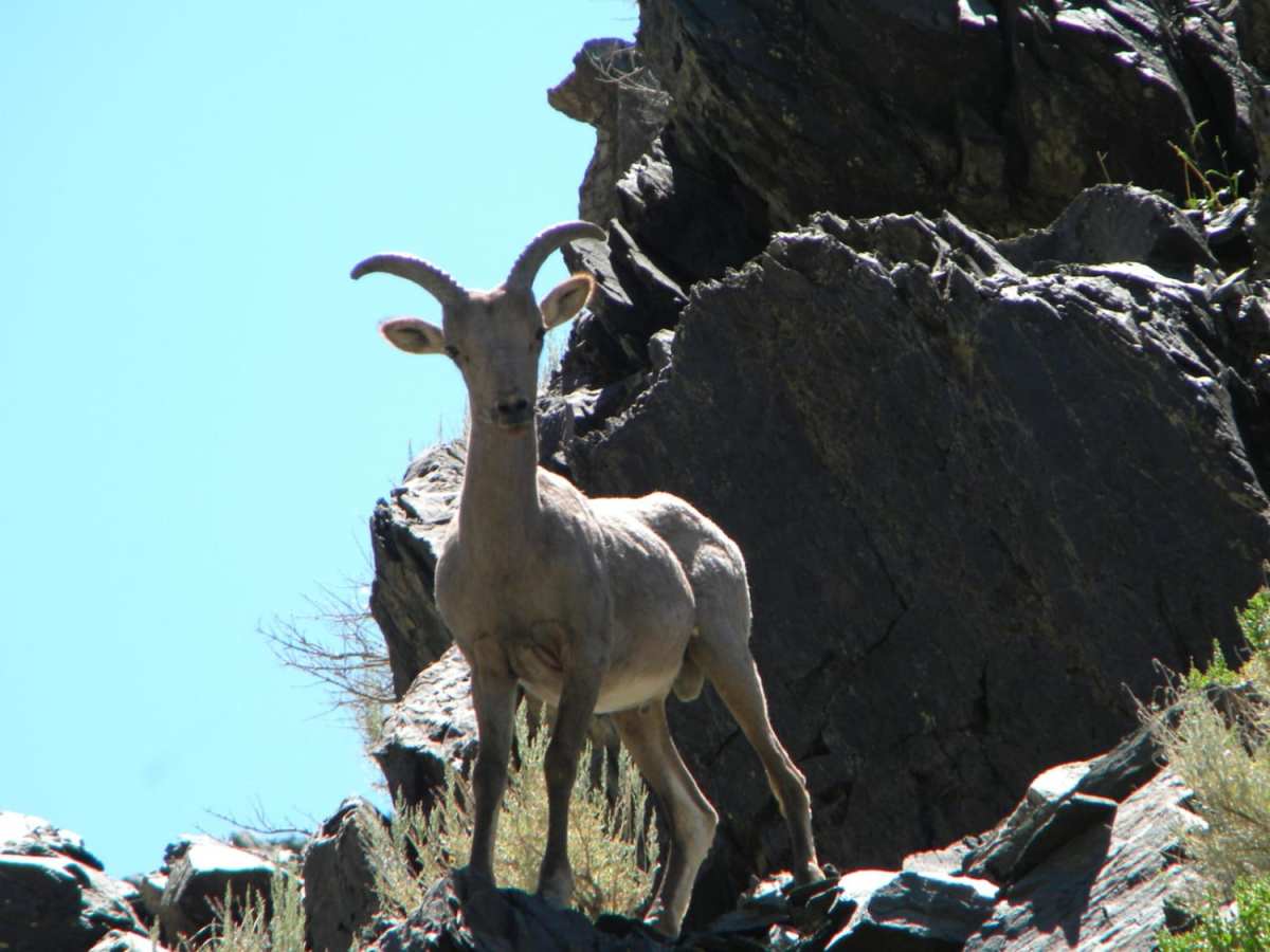 Silver Canyon Road photo 3