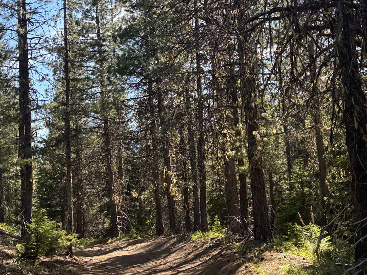 Meadow Lake - FS 2076-900 photo 6