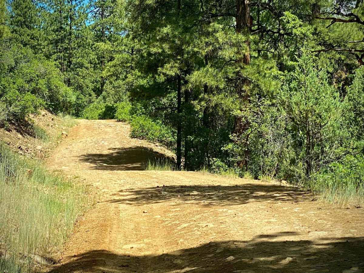 Devil Mountain-Fr Rd 626 photo 3