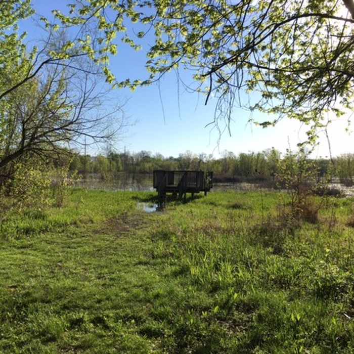 Near Gilmore Ponds Loop