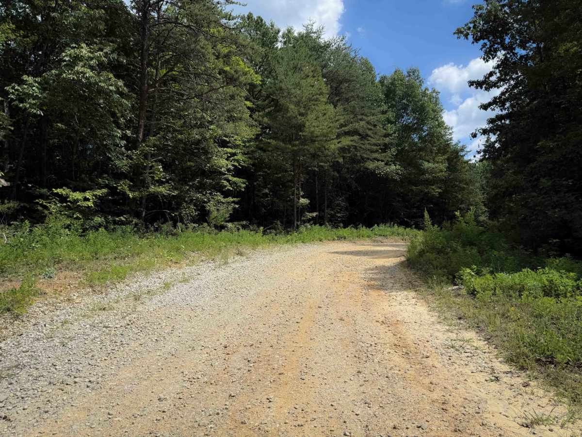 Cumberland Mountain Trail photo 2