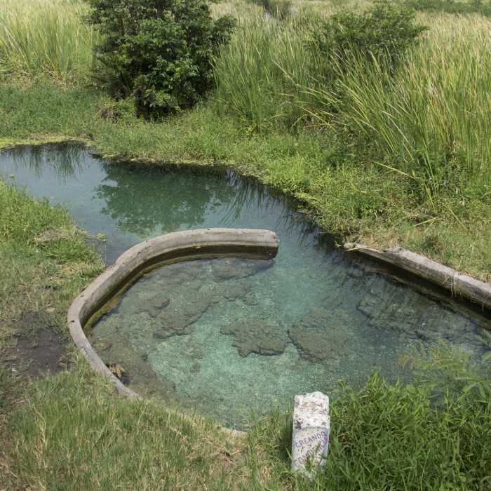 Near Manantial Ojo de Agua