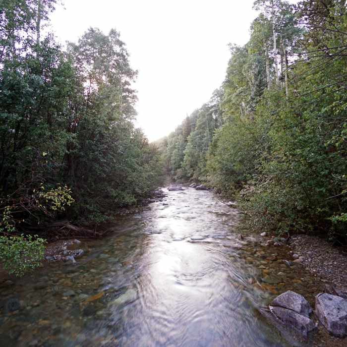 Near Missouri Mountain