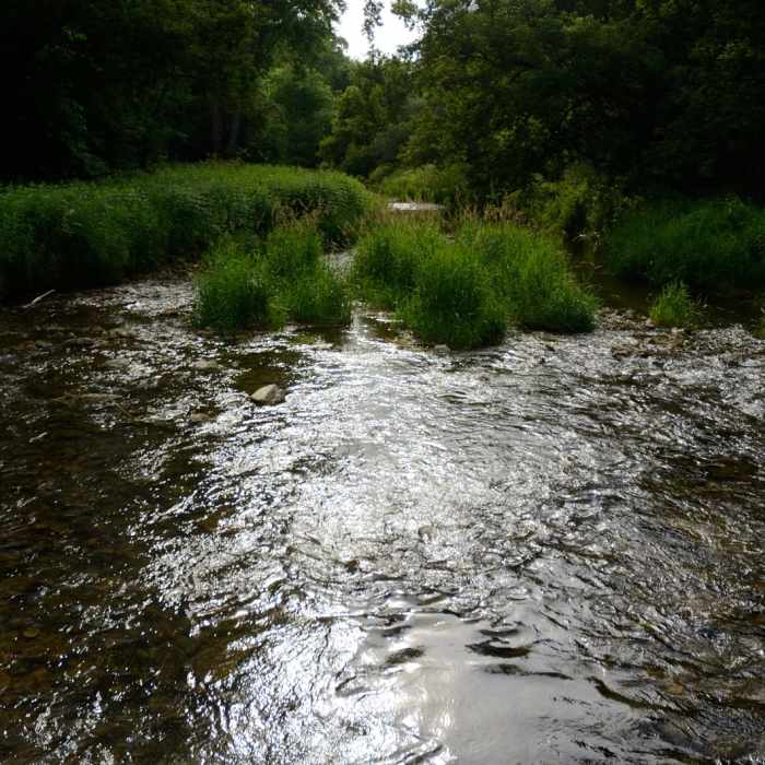 Near Northwest Day Use Area Loop Near Northwest Day Use Area Loop