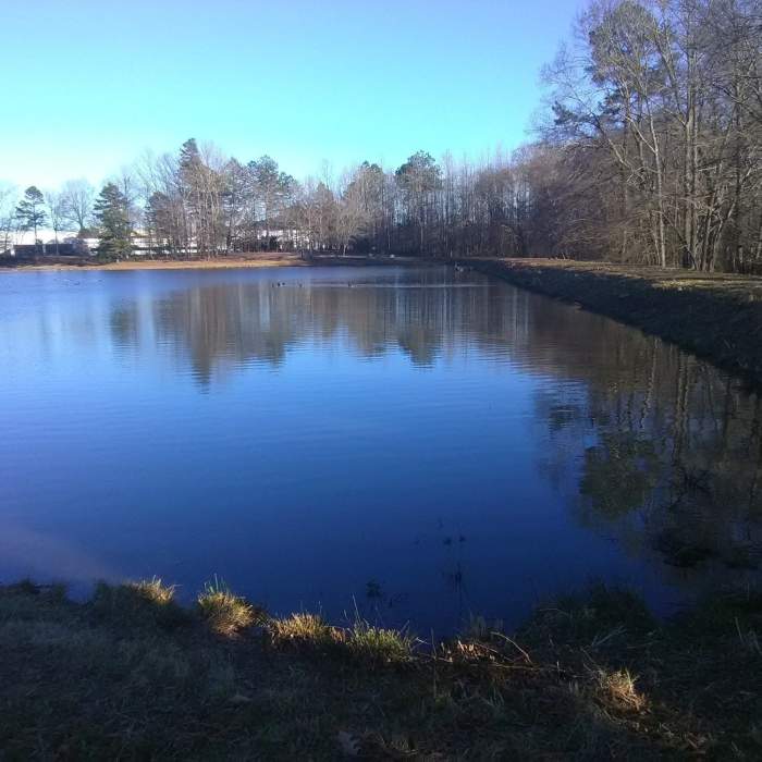 Near Treyburn Greenway: Old Oxford Hwy Section
